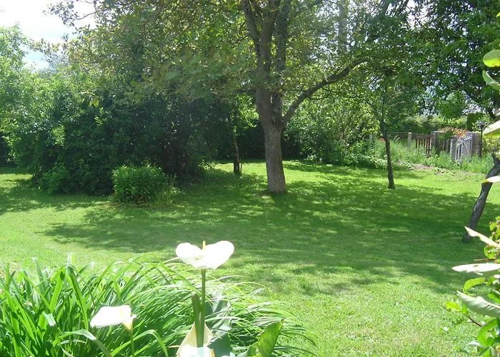 Gite Gites De France - Le Reve Ferienhaus